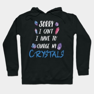 Sorry I Can't I Have To Charge My Crystals Hoodie